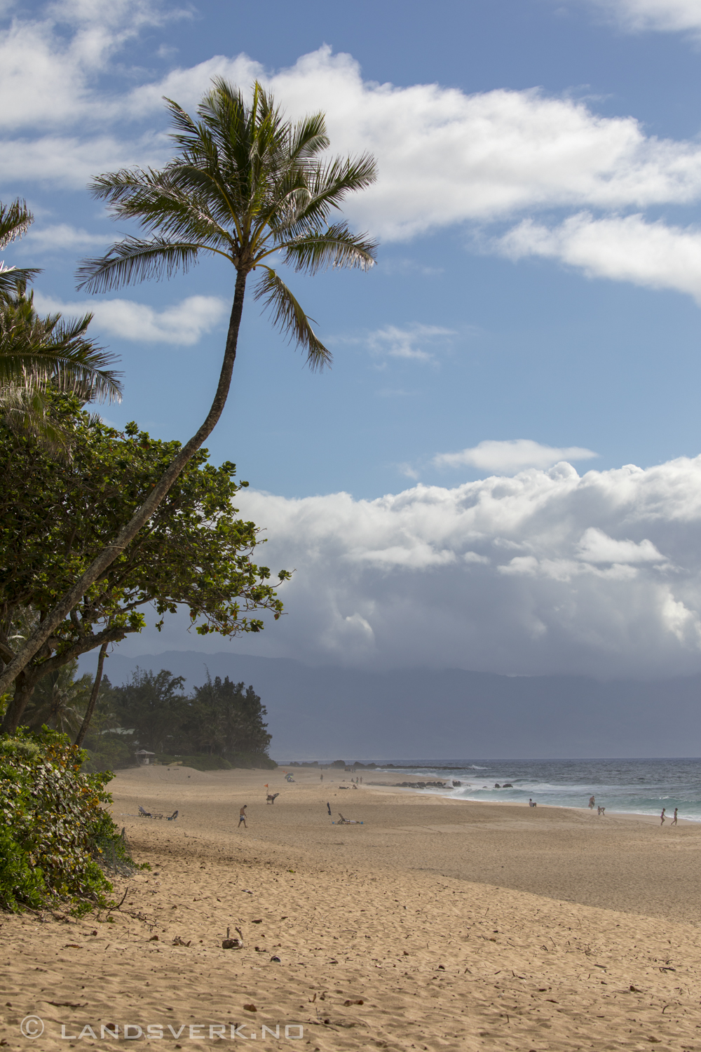 Ehukai Beach. O‘ahu, Hawaii. 

(Canon EOS 5D Mark IV / Canon EF 100-400mm f/4.5-5.6 L IS II USM)