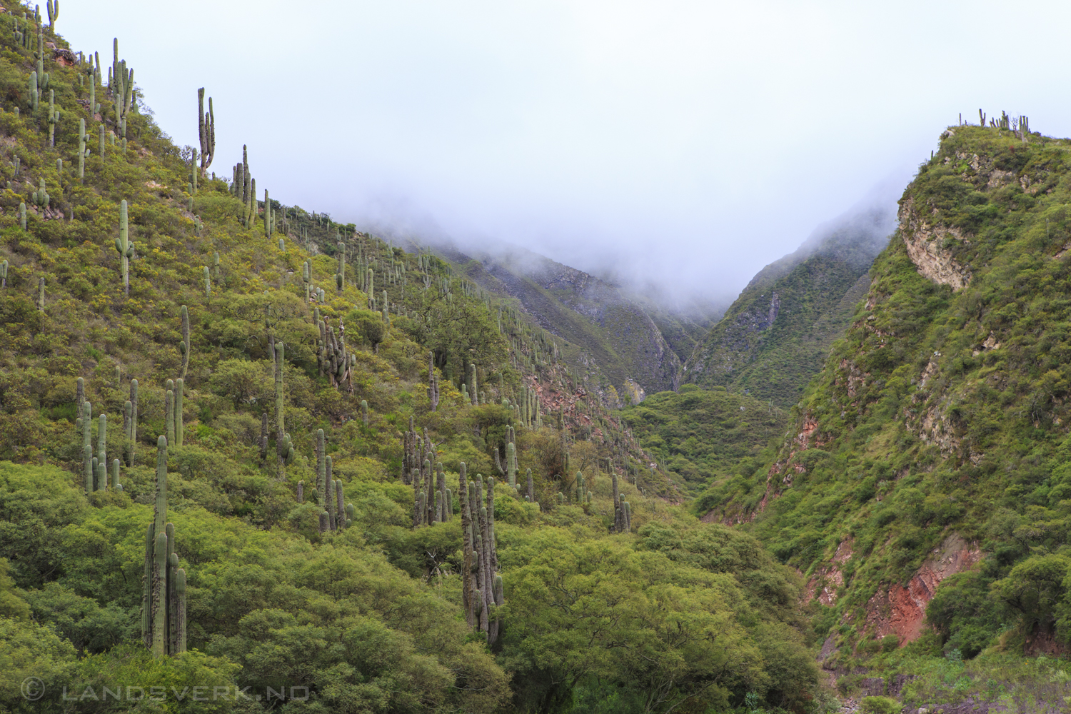 La Sefira, Salta, Argentina. 

(Canon EOS 5D Mark III / Canon EF 24-70mm f/2.8 L USM)