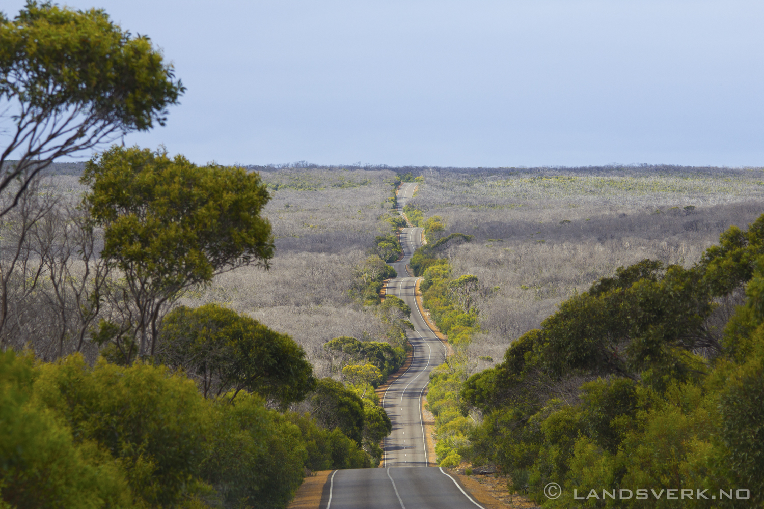 Kangaroo Island. 

(Canon EOS 550D / Sigma 70-200mm F2.8 OS)