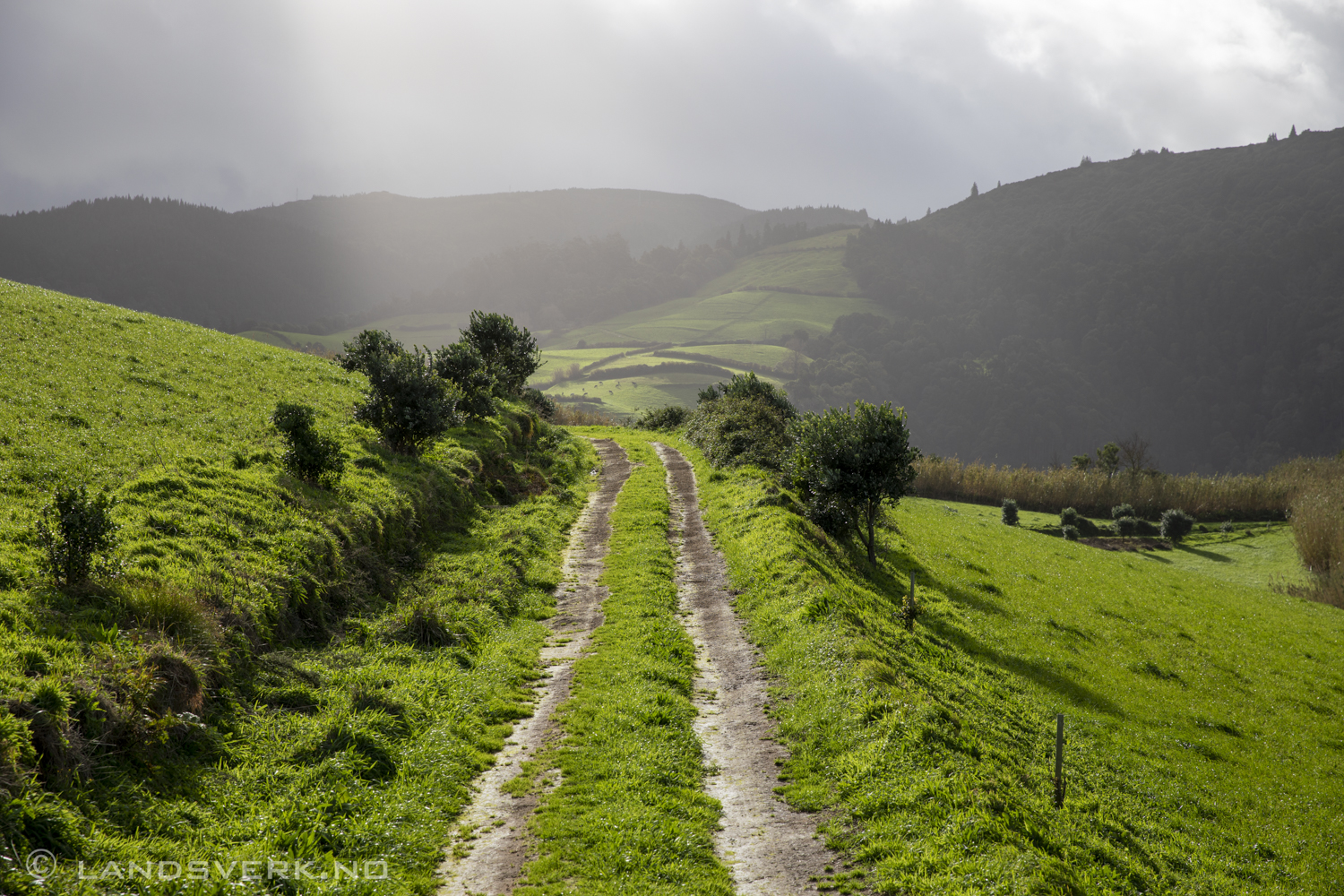 Moinhos. São Miguel, Azores. (Canon EOS 5D Mark IV / Canon EF 24-70mm f/2.8 L II USM)