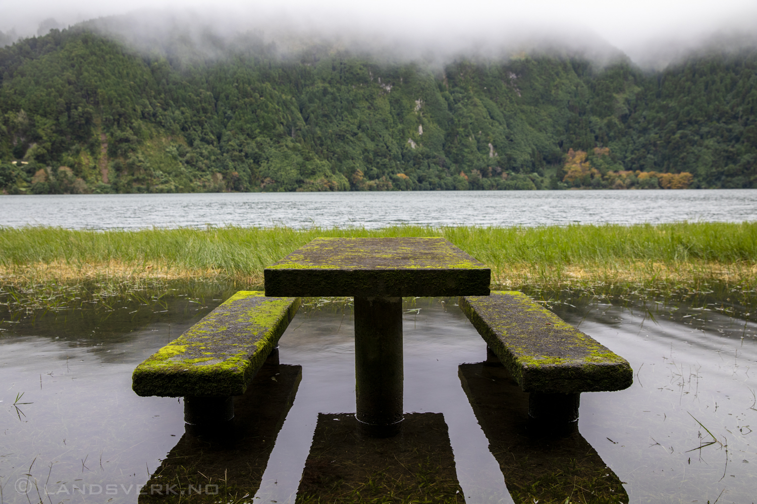 Lagoa Verde, Sete Cidades. São Miguel, Azores. (Canon EOS 5D Mark IV / Canon EF 24-70mm f/2.8 L II USM)