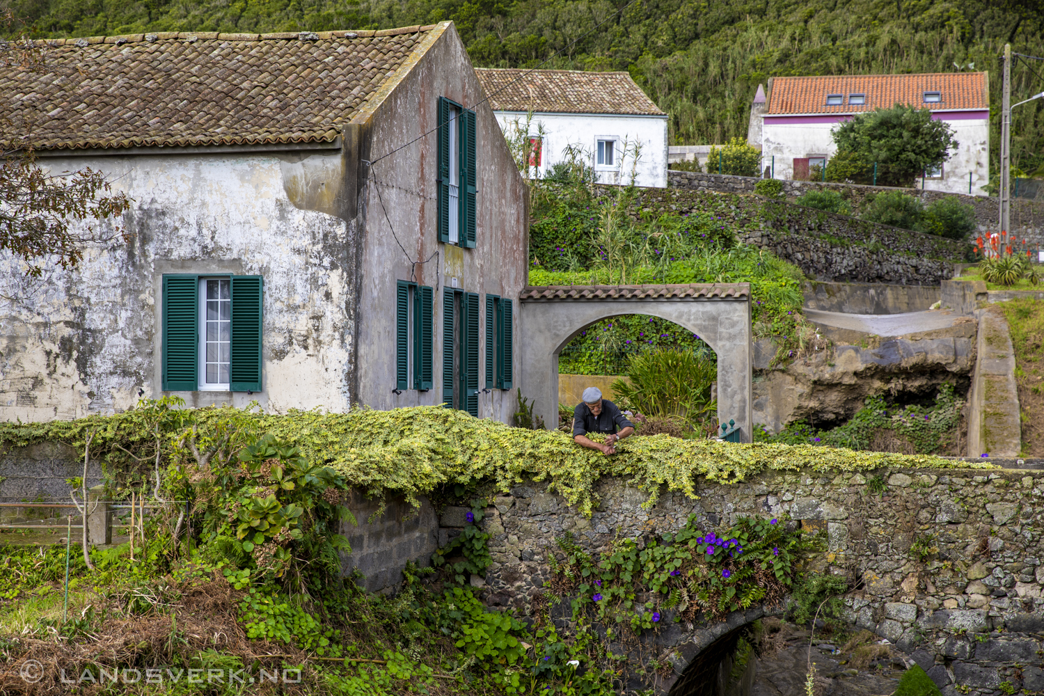 Ginetes. São Miguel, Azores. (Canon EOS 5D Mark IV / Canon EF 24-70mm f/2.8 L II USM)