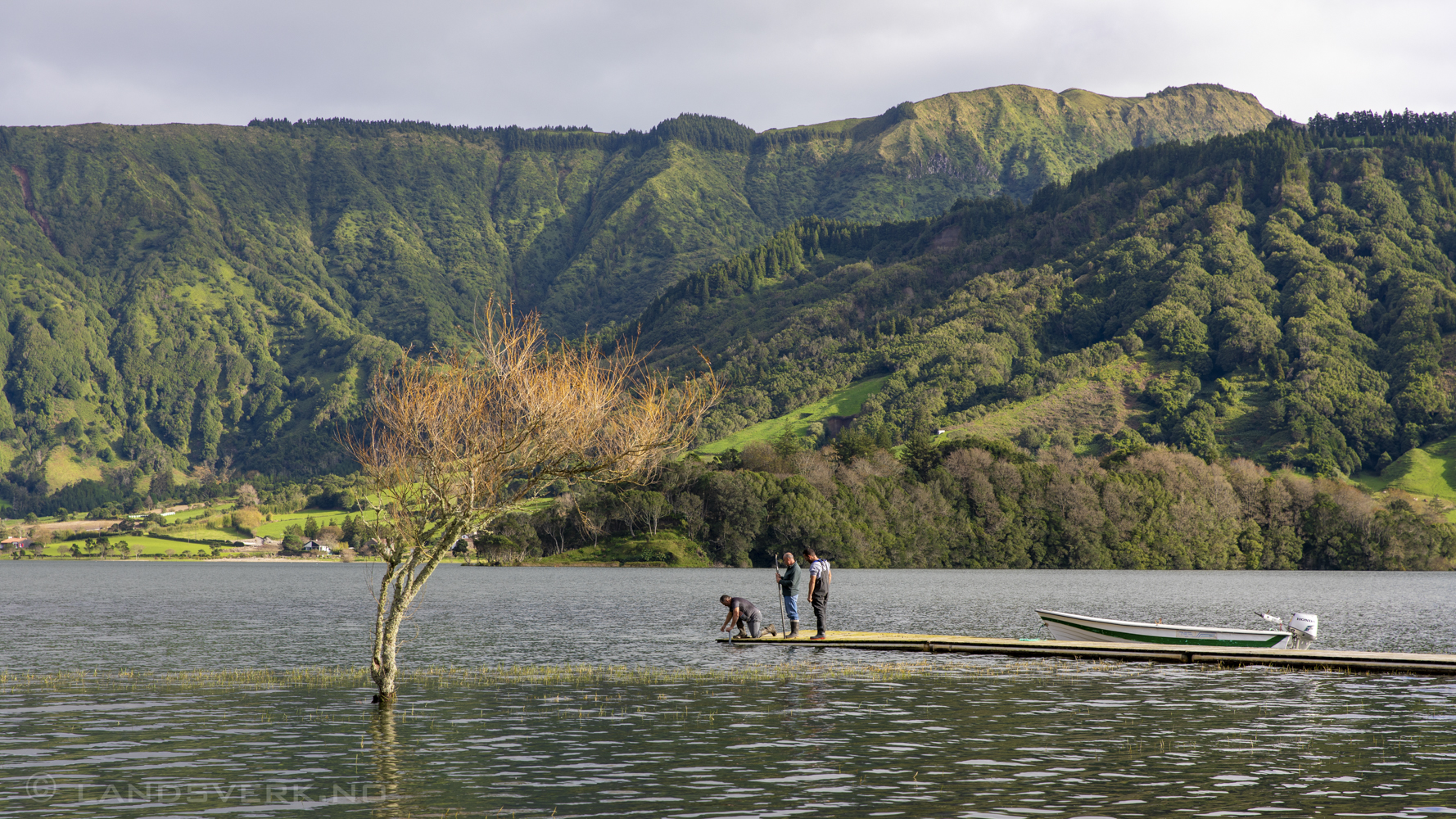 Lagoa Azul, Sete Cidades. São Miguel, Azores. (Canon EOS 5D Mark IV / Canon EF 24-70mm f/2.8 L II USM)