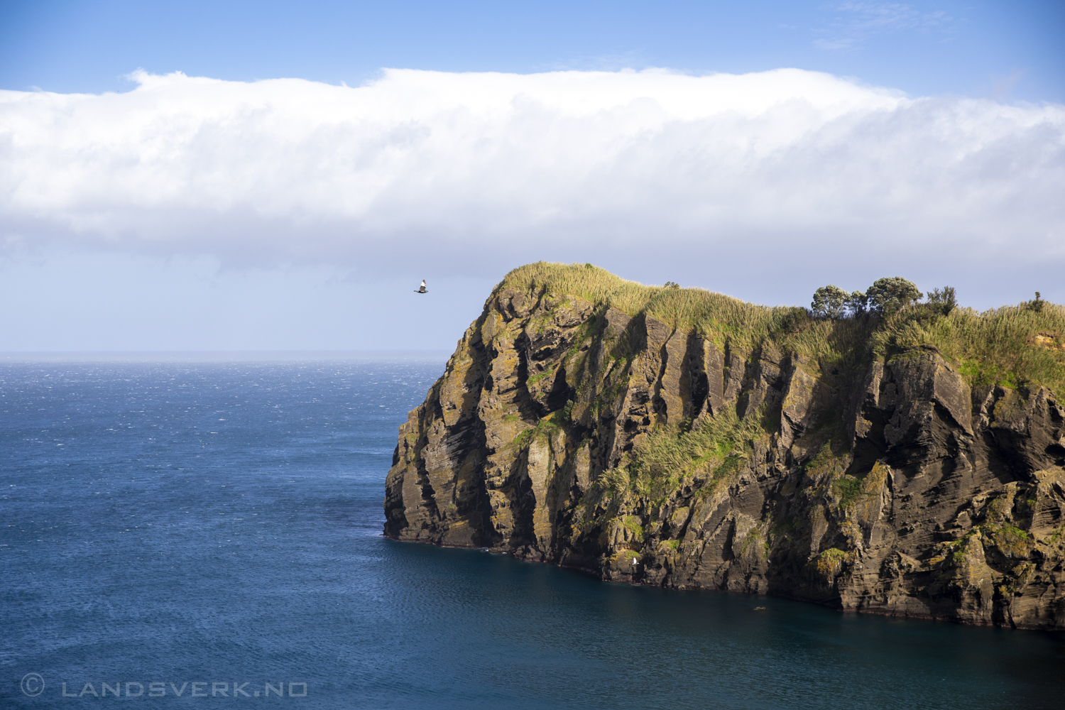 Capelas. São Miguel, Azores. (Canon EOS 5D Mark IV / Canon EF 24-70mm f/2.8 L II USM)