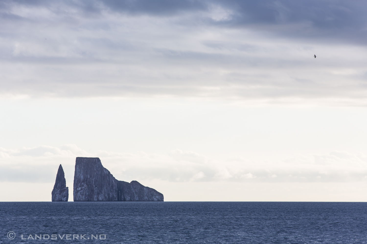 Leon Dormido, San Cristobal, Galapagos. Shark reef! 

(Canon EOS 5D Mark III / Canon EF 70-200mm f/2.8 L IS II USM)