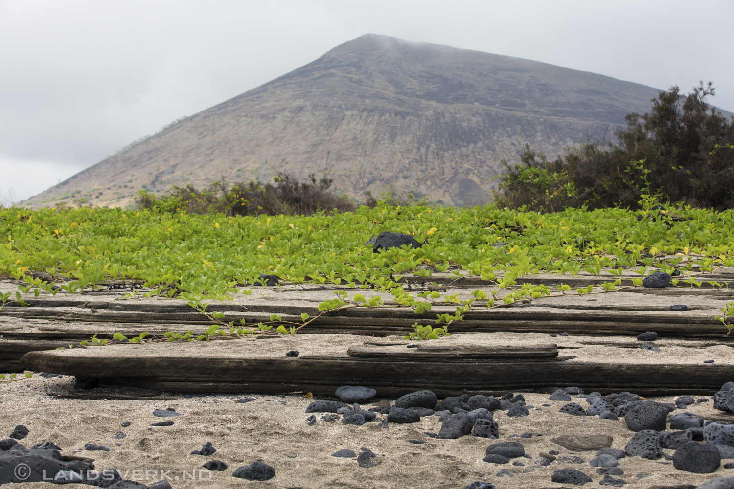 Puerto Egas, Isla Santiago, Galapagos. 

(Canon EOS 5D Mark III / Canon EF 70-200mm f/2.8 L IS II USM)