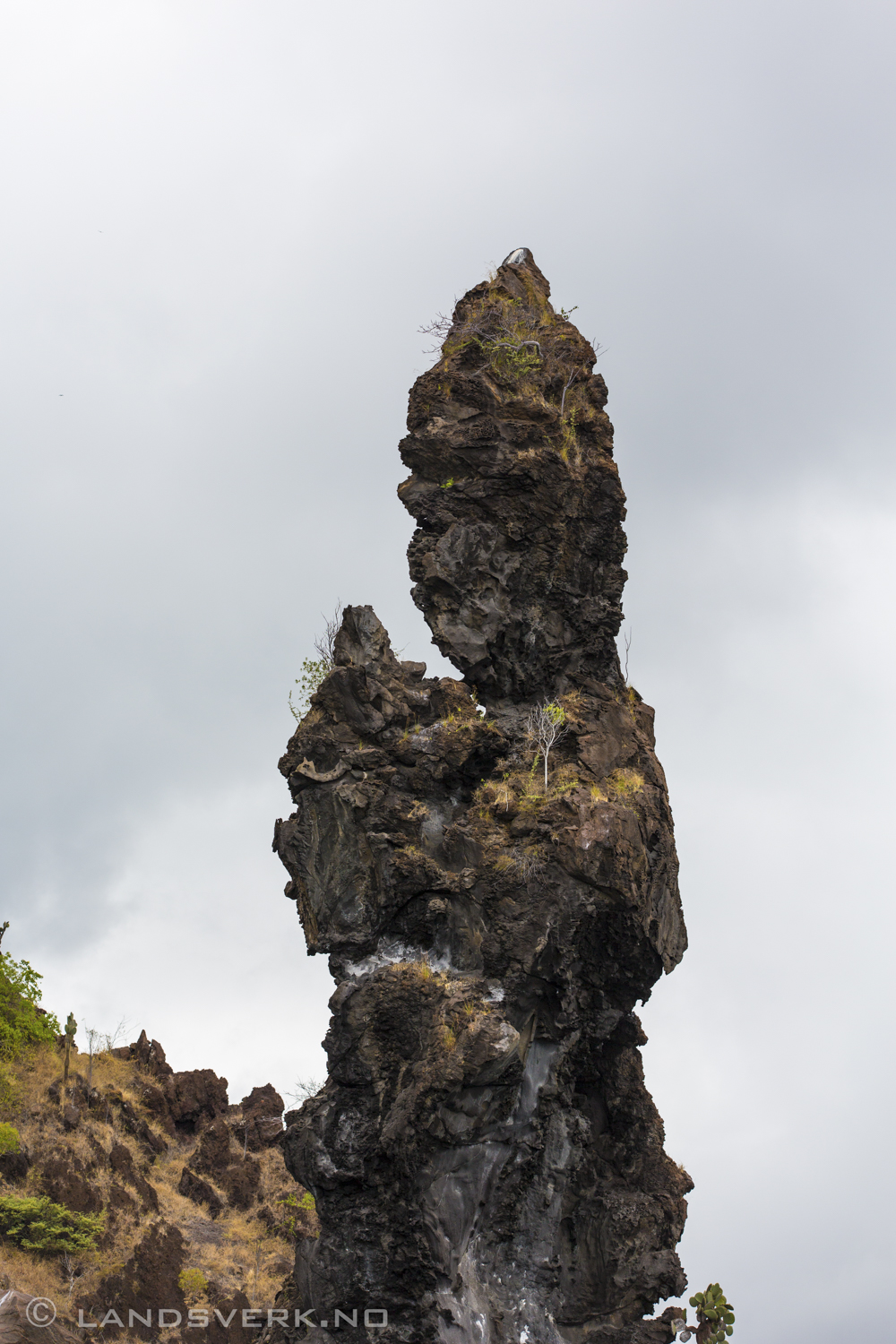 "The Praying Munk", Bucaneer Cove, Isla Santiago, Galapagos. 

(Canon EOS 5D Mark III / Canon EF 70-200mm f/2.8 L IS II USM)