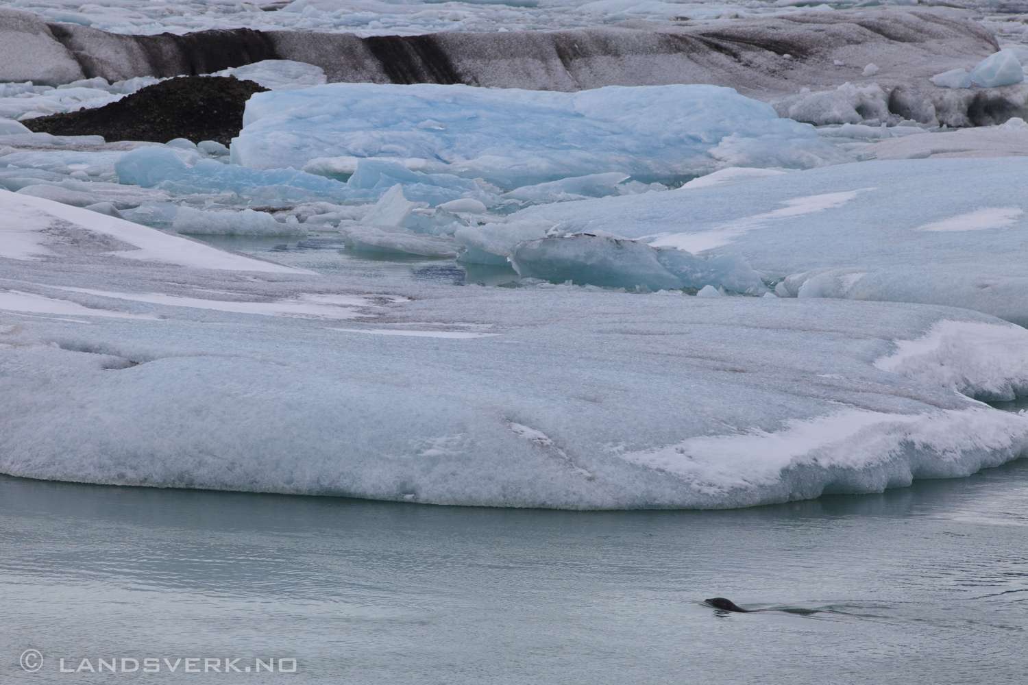 Jökulsárlón glacier lagoon. 

(Canon EOS 5D Mark II / Canon EF 70-200mm f/2.8 L IS II USM)