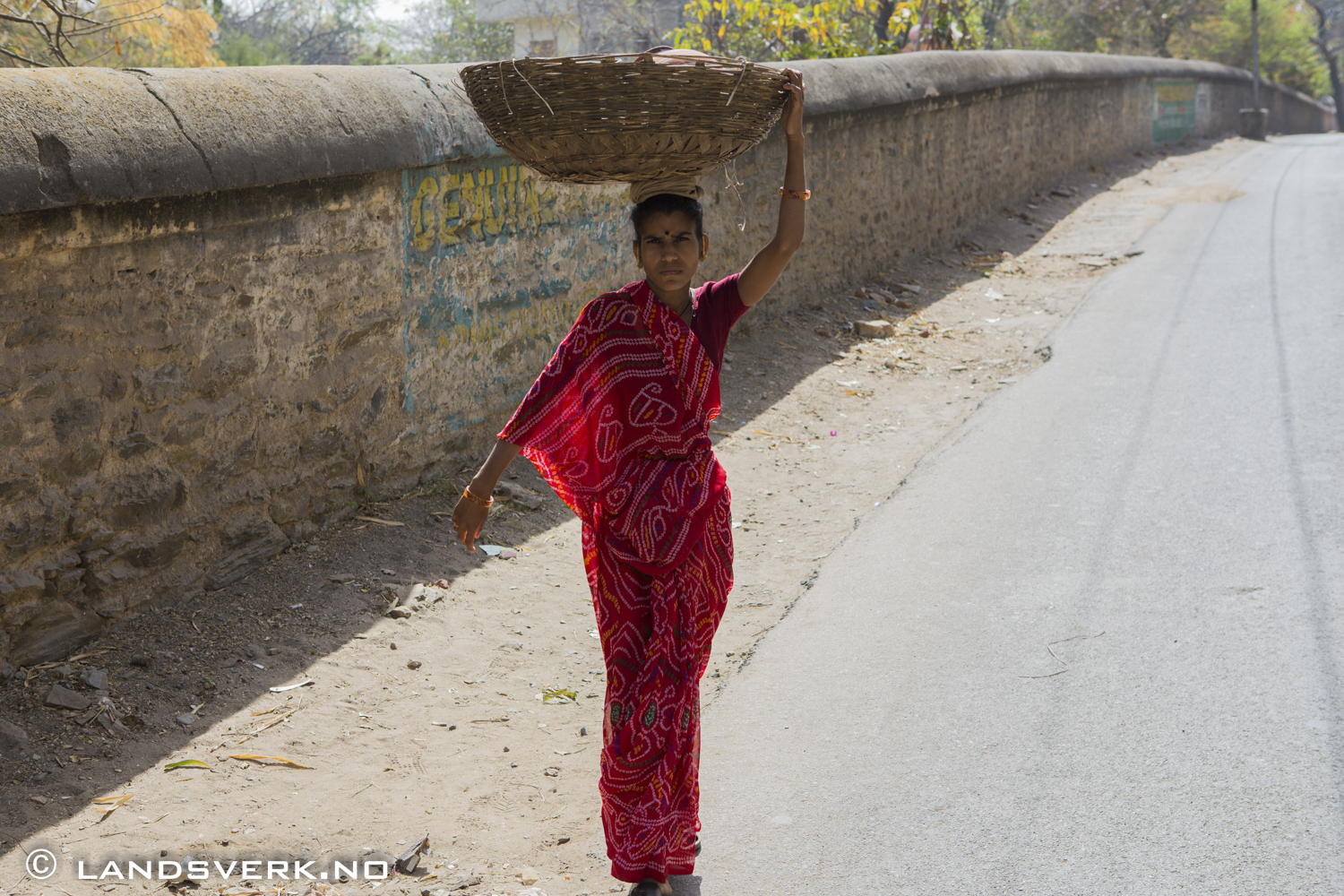 Udaipur, India. 

(Canon EOS 5D Mark III / Canon EF 24-70mm f/2.8 L USM)