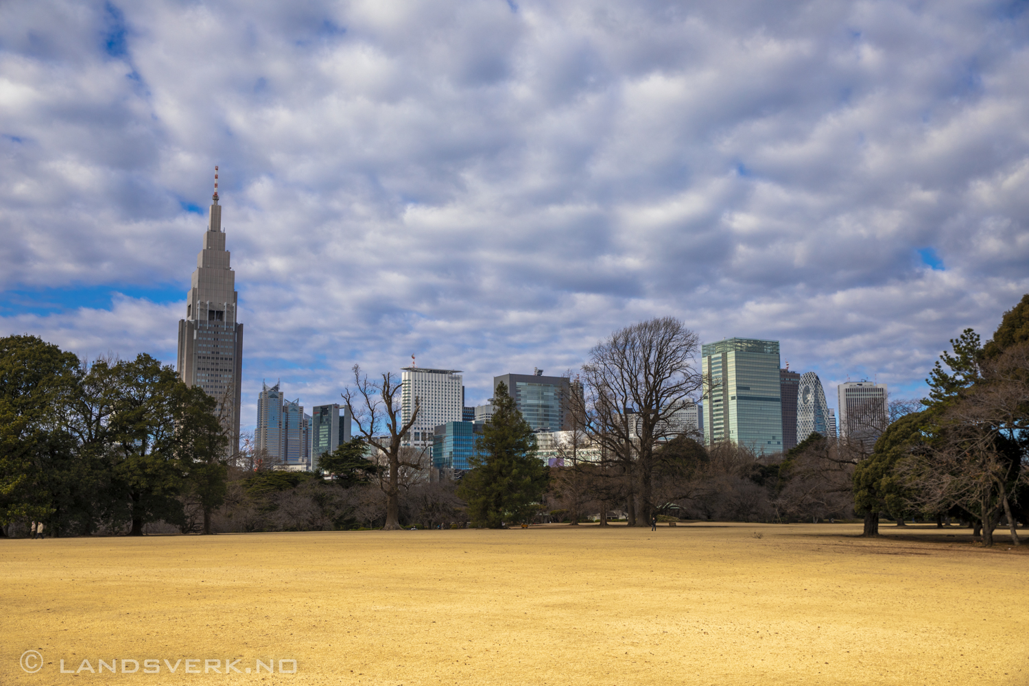 Gyoen Park, Shinjuku, Tokyo, Japan. 

(Canon EOS 5D Mark IV / Canon EF 24-70mm f/2.8 L II USM)