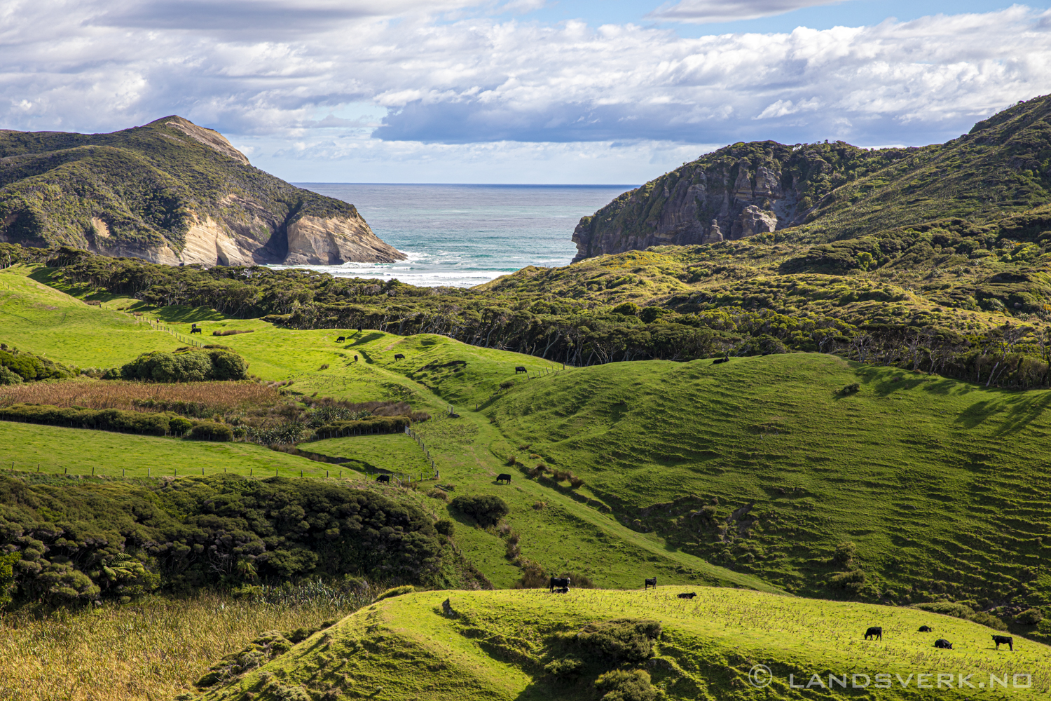 Wharakiri Beach, Takaka, New Zealand.

(Canon EOS 5D Mark IV / Canon EF 24-70mm f/2.8 L II USM)