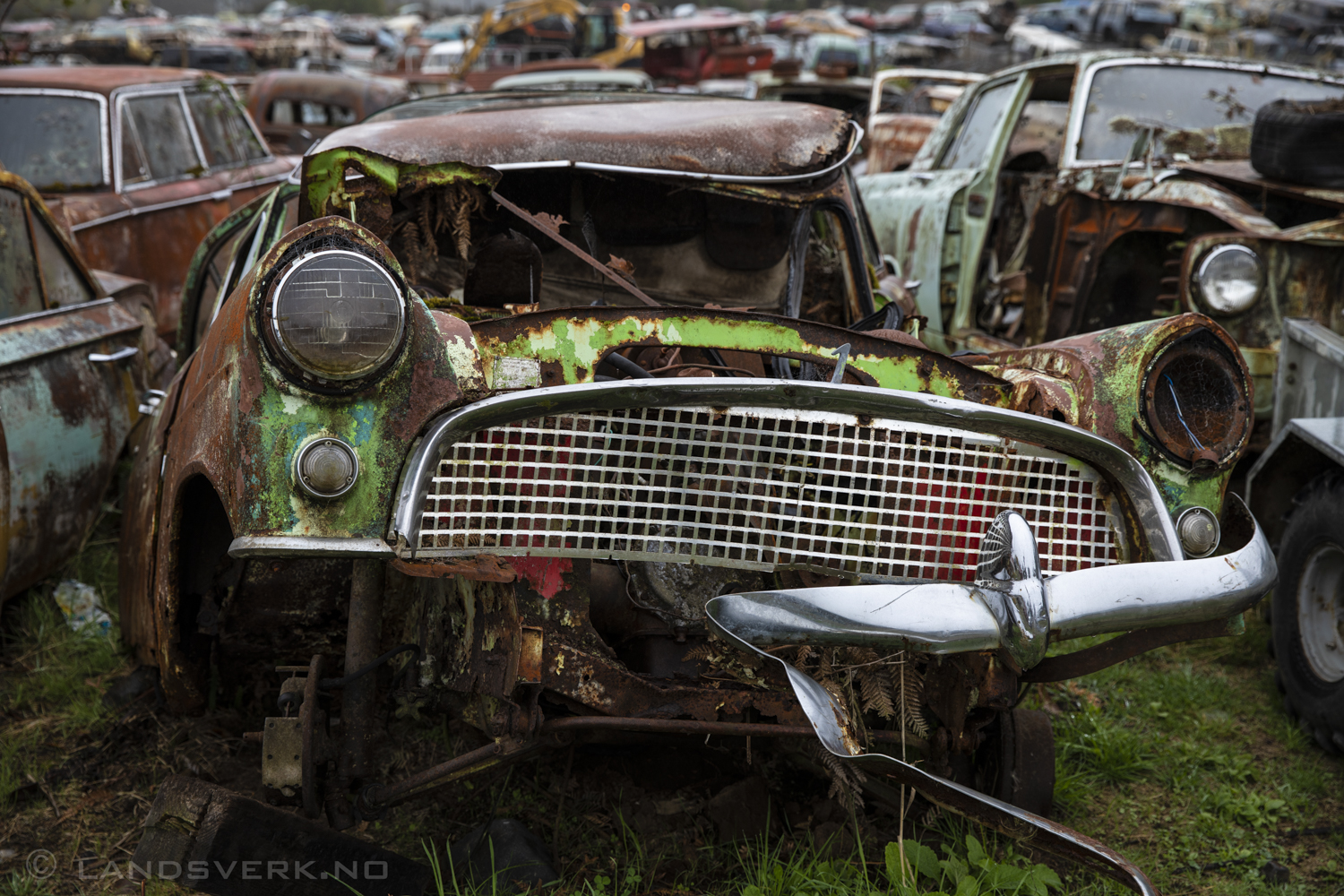 Horopito Motors car graveyard, in Whakapapa, near Tongariro National Park, New Zealand. 

(Canon EOS 5D Mark IV / Canon EF 24-70mm f/2.8 L II USM)