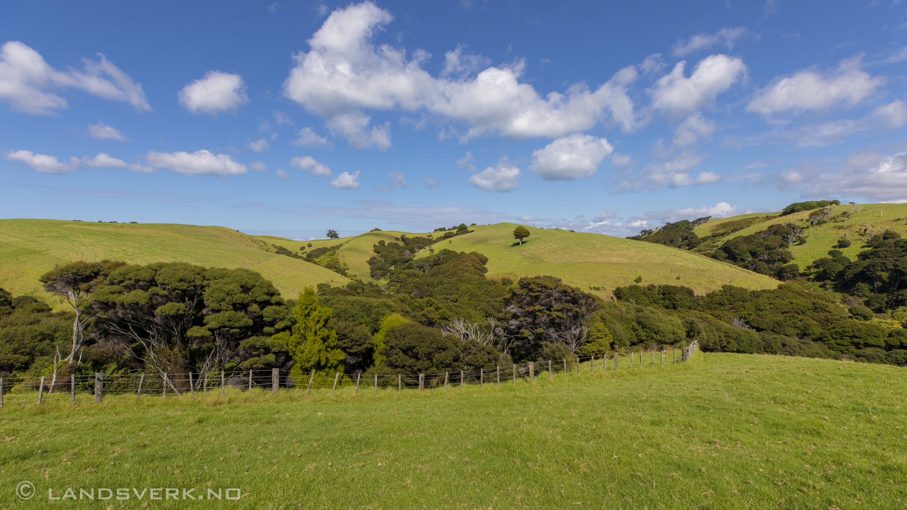 Tawharanui Regional Park, New Zealand.

(Canon EOS 5D Mark IV / Canon EF 16-35mm f/2.8 L III USM)