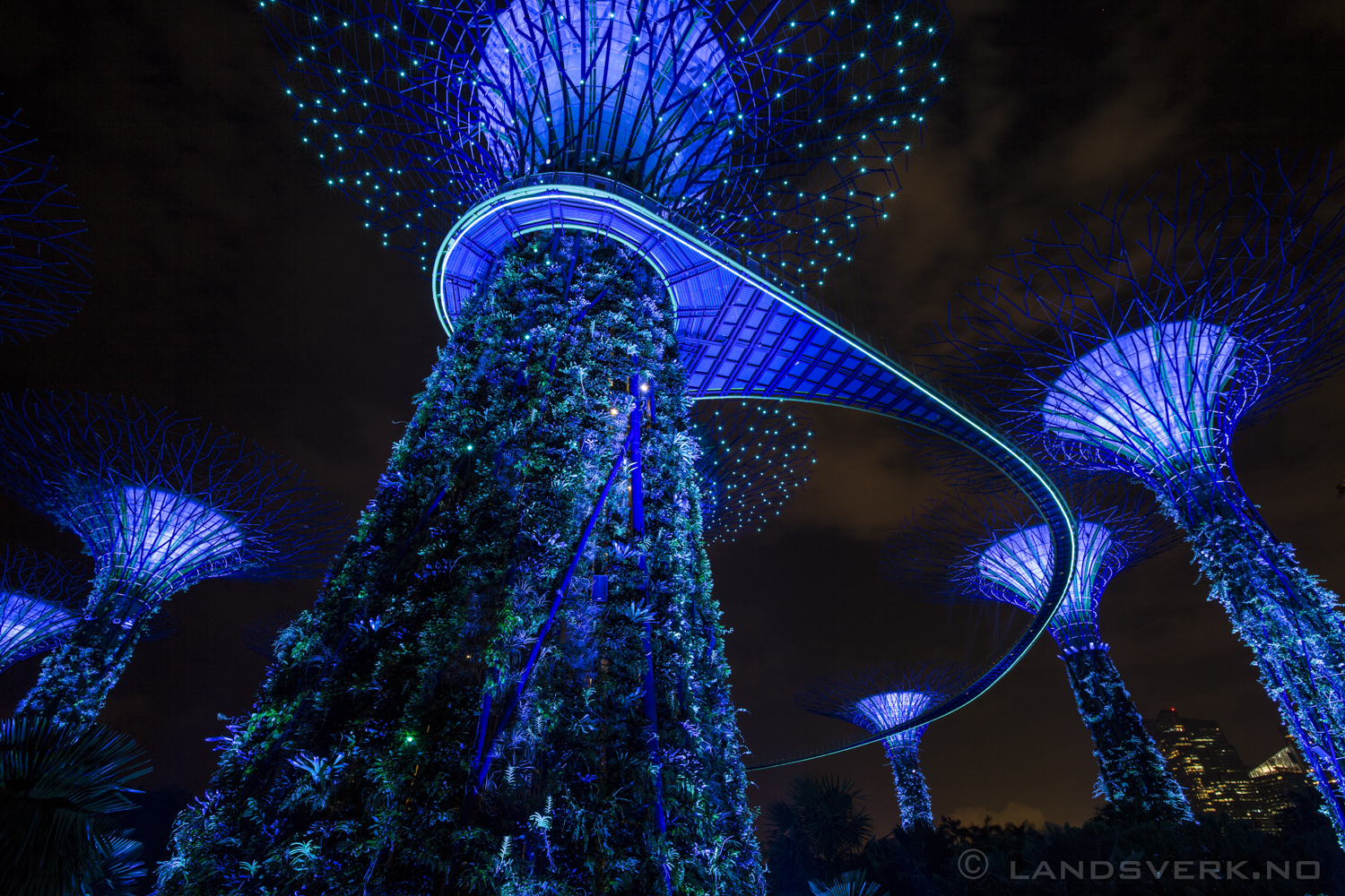 Super Tree Grove, Singapore. 

(Canon EOS 5D Mark III / Canon EF 16-35mm f/2.8 L II USM)