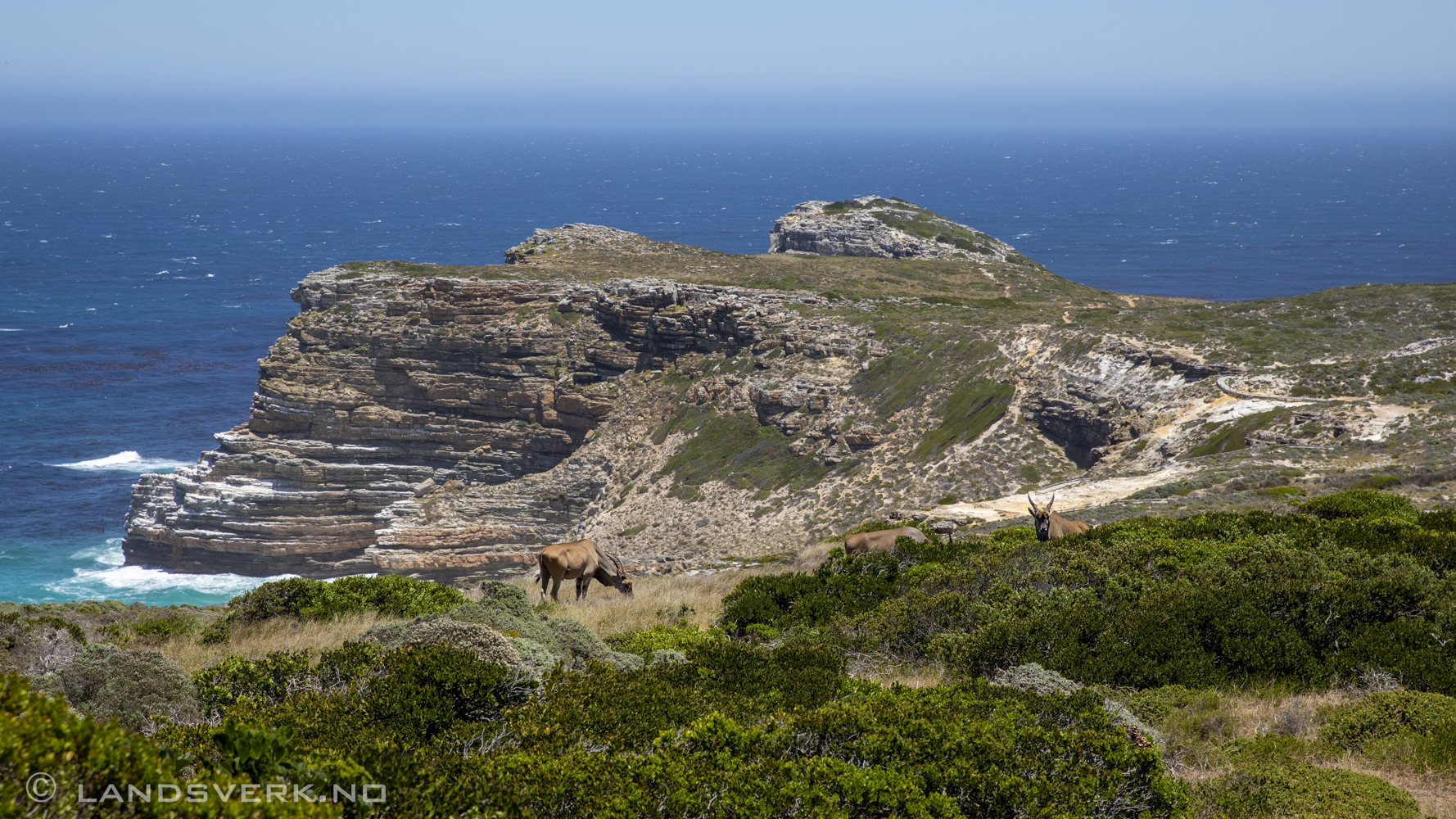 Cape Of Good Hope, South Africa. (Canon EOS 5D Mark IV / Canon EF 24-70mm f/2.8 L II USM)