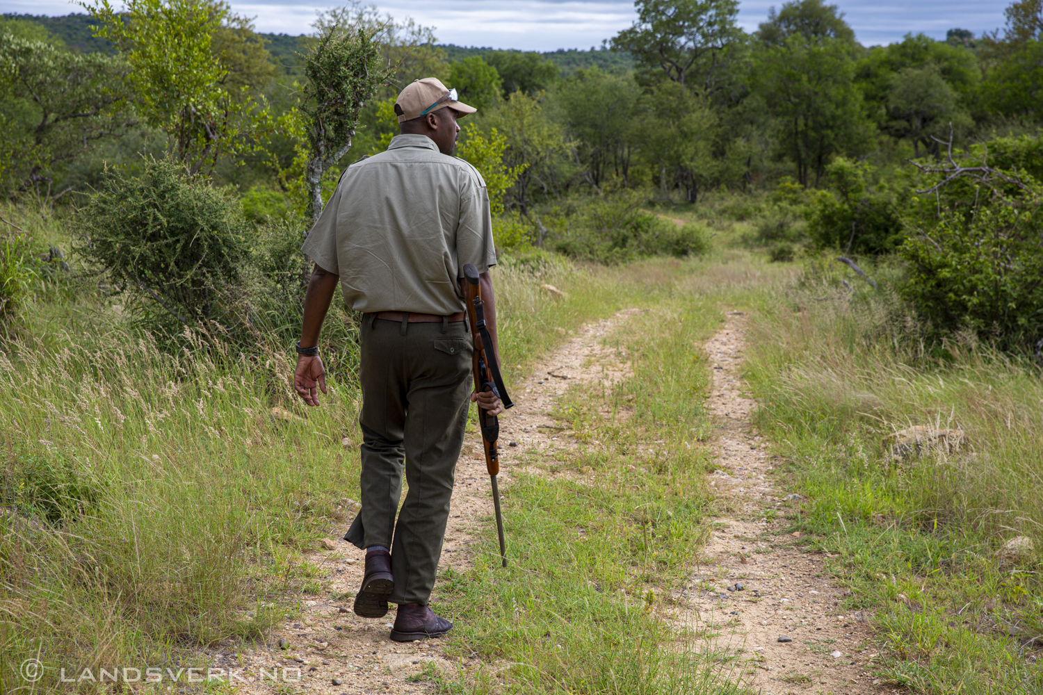 Morning bushwalk with George. Olifants West Game Reserve / Kruger National Park, South Africa. (Canon EOS 5D Mark III / Canon EF 24-70mm f/2.8 L II USM)