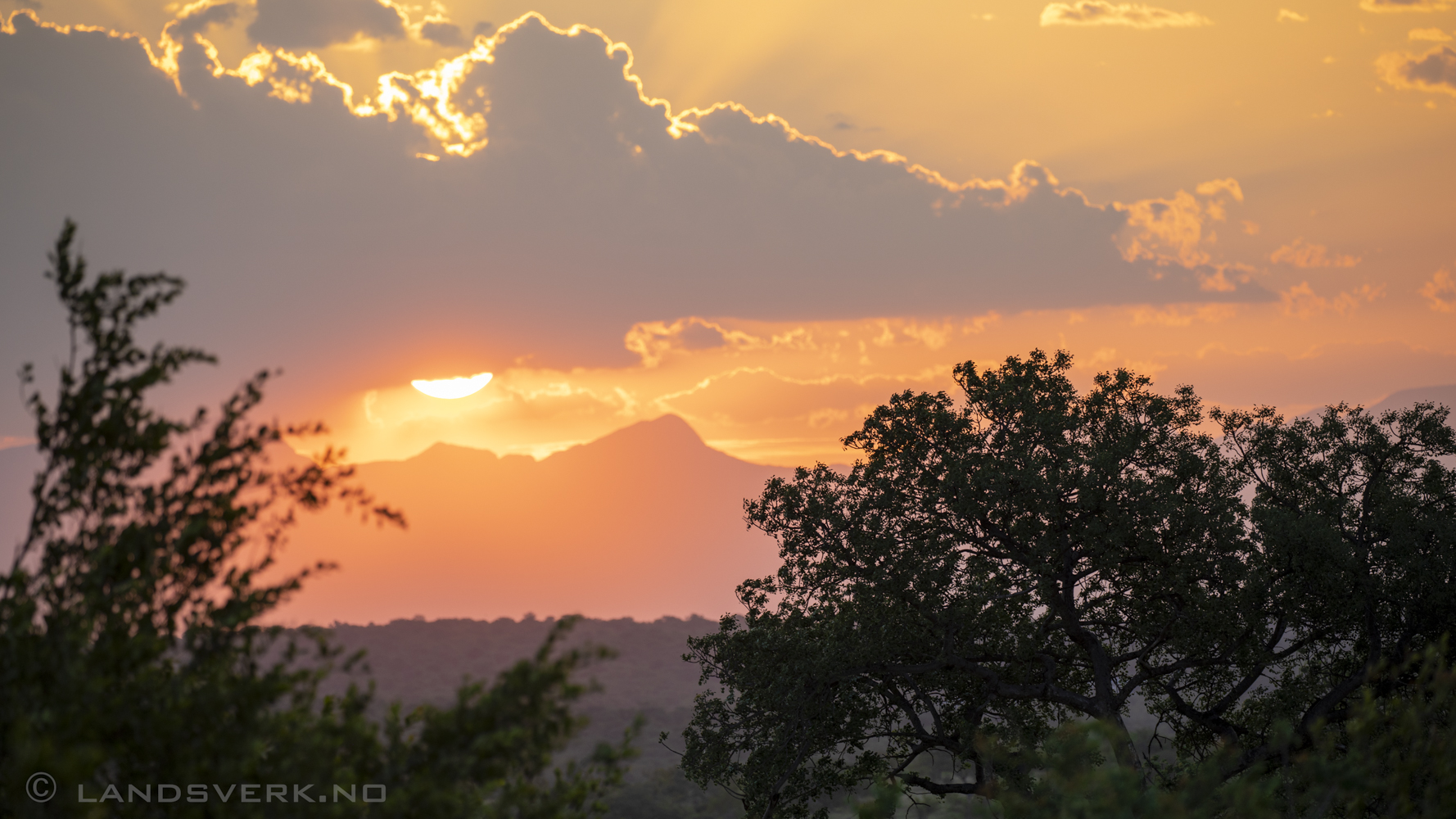 Olifants West Game Reserve / Kruger National Park, South Africa. (Canon EOS 5D Mark IV / Canon EF 100-400mm f/4.5-5.6 L IS II USM)