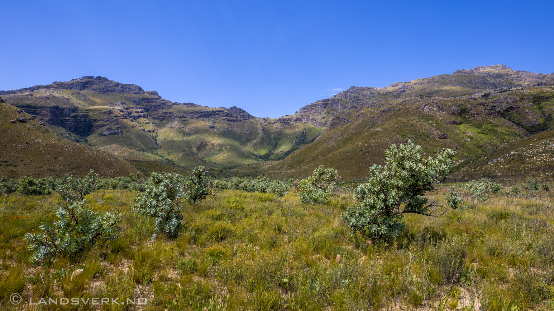 Jonkershoek Nature Reserve, South Africa. (Canon EOS 5D Mark IV / Canon EF 16-35mm f/2.8 L III USM)