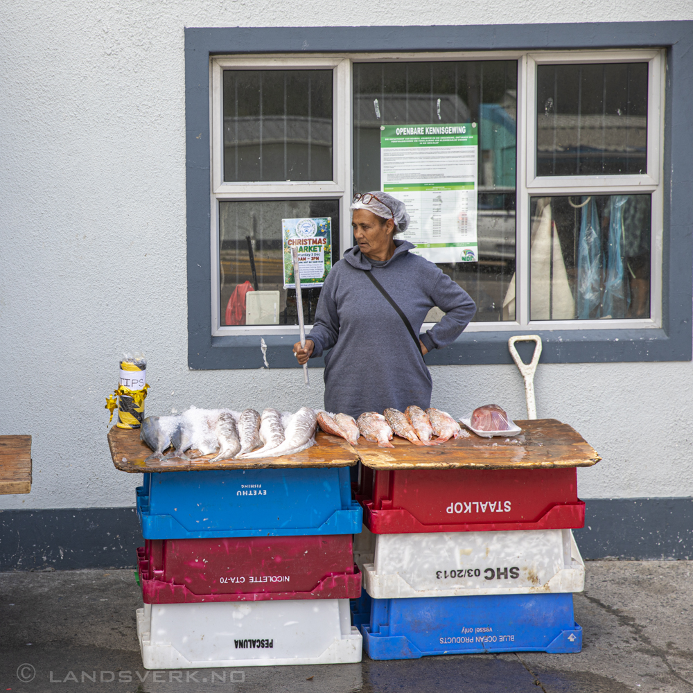 Hout Bay, South Africa. (Canon EOS 5D Mark IV / Canon EF 24-70mm f/2.8 L II USM)