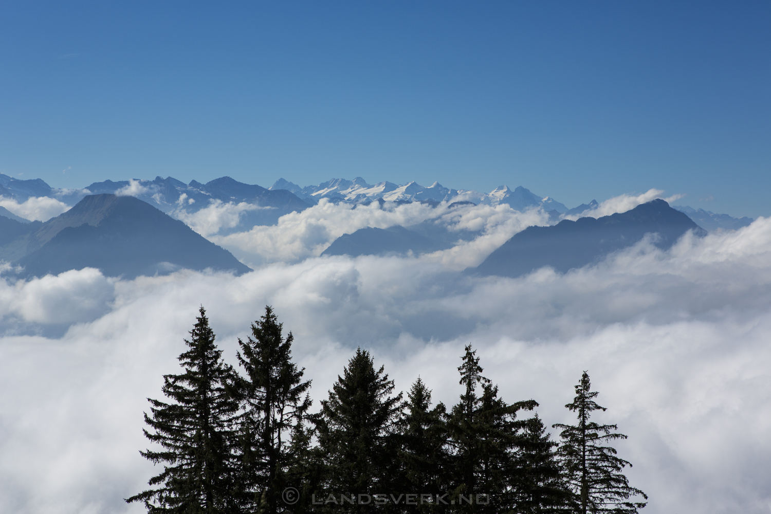 Hiking from Rigi Kaltbad to Rigi Scheidegg, Switzerland. 

(Canon EOS 5D Mark III / Canon EF 24-70mm f/2.8 L USM)