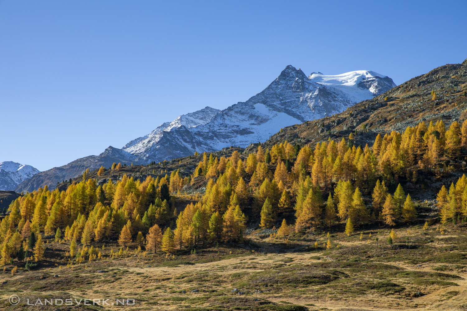 Engadin, Switzerland. (Canon EOS 5D Mark IV / Canon EF 24-70mm f/2.8 L II USM)