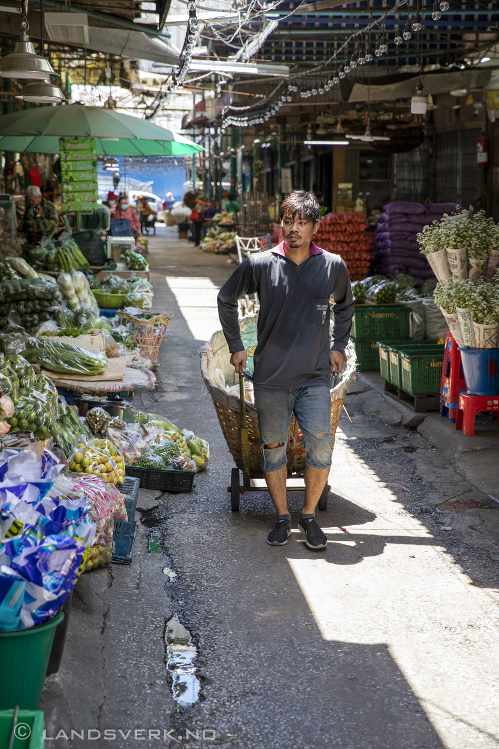 Pak Khlong Talat flower market. Bangkok, Thailand. (Canon EOS 5D Mark IV / Canon EF 24-70mm f/2.8 L II USM)