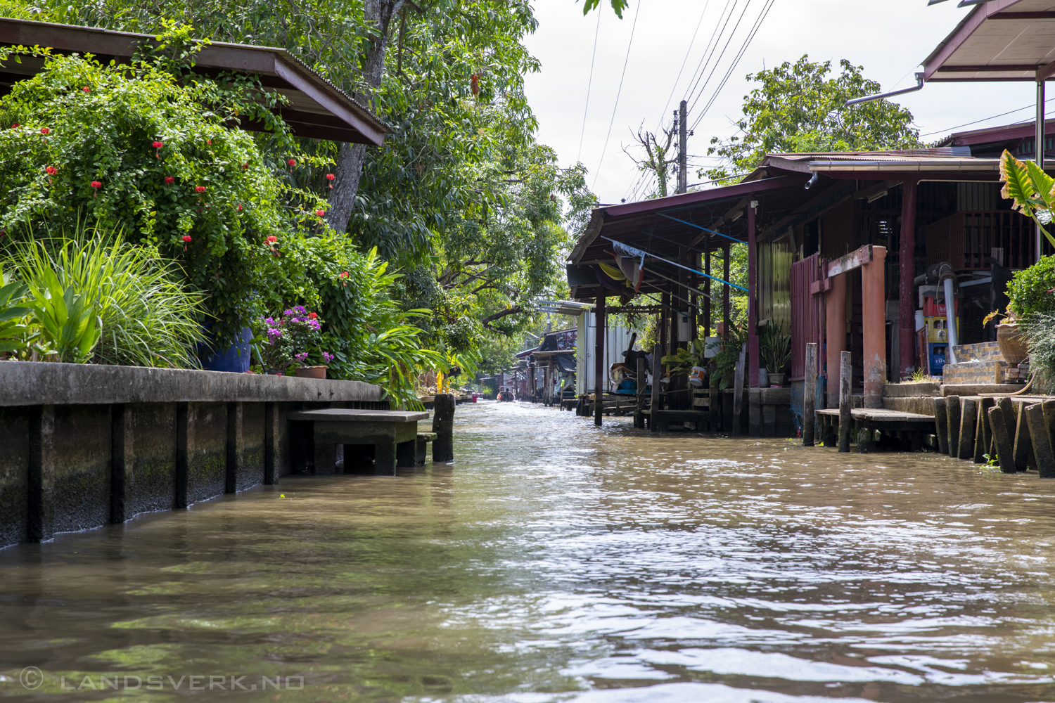 Damnoen Saduak Floating Market, Ratchaburi, Thailand. (Canon EOS 5D Mark IV / Canon EF 24-70mm f/2.8 L II USM)