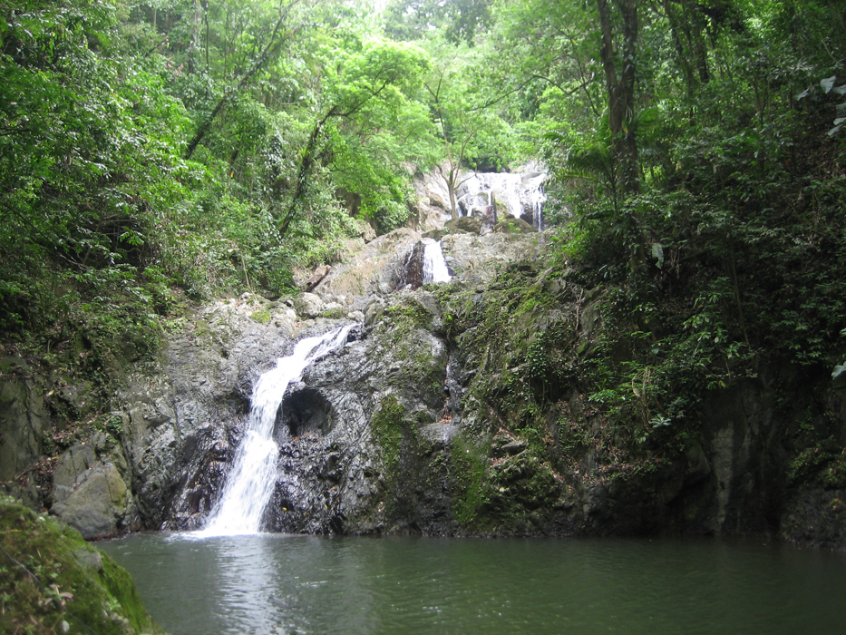 Argyle Waterfall. (Canon IXUS 50)