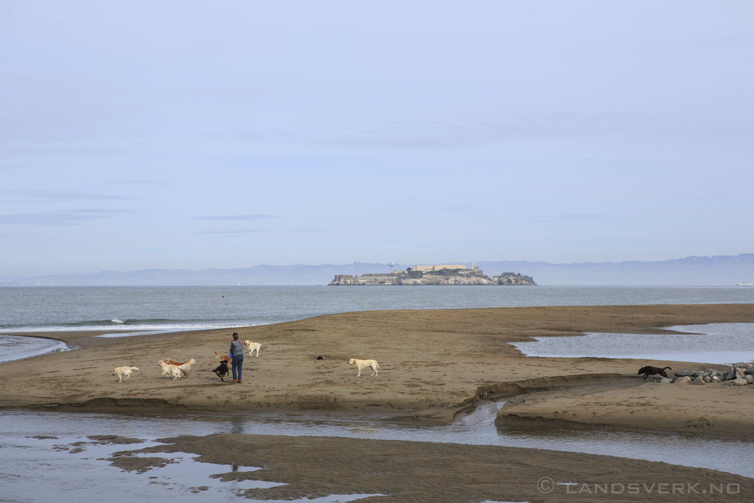 San Francisco, California. 

(Canon EOS 5D Mark III / Canon EF 24-70mm f/2.8 L USM)