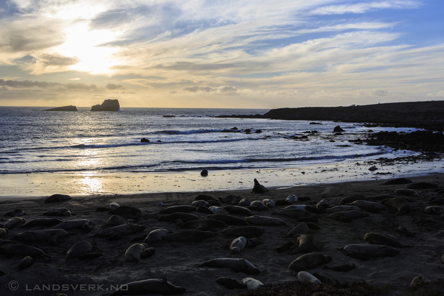 Somewhere along Highway 1, California. 

(Canon EOS 5D Mark III / Canon EF 24-70mm f/2.8 L USM)