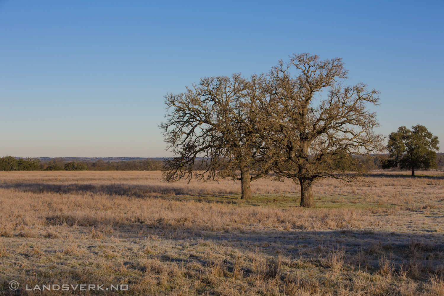 Texas Hill Country. 

(Canon EOS 5D Mark III / Canon EF 70-200mm f/2.8 L IS II USM)