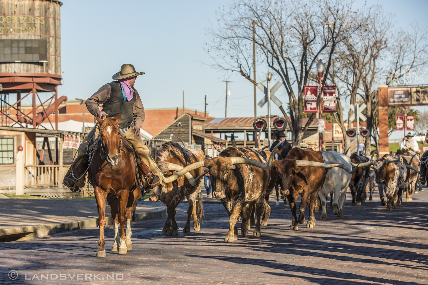 Fort Worth, Texas. 

(Canon EOS 5D Mark III / Canon EF 70-200mm f/2.8 L IS II USM)