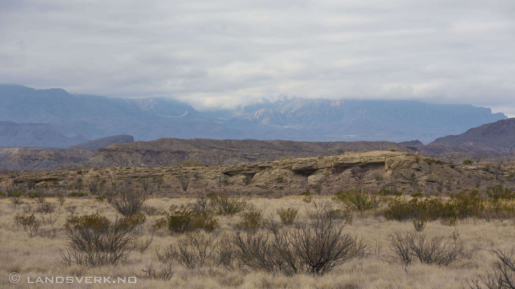 Big Bend National Park, Texas. 

(Canon EOS 5D Mark III / Canon EF 70-200mm f/2.8 L IS II USM)