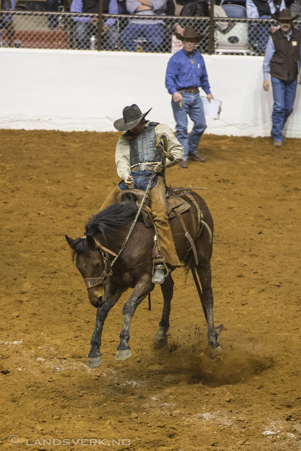 Fort Worth Stock Show & Rodeo, Texas. 

(Canon EOS 5D Mark III / Canon EF 70-200mm f/2.8 L IS II USM)